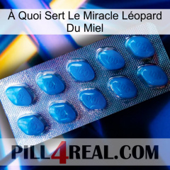 À Quoi Sert Le Miracle Léopard Du Miel viagra1